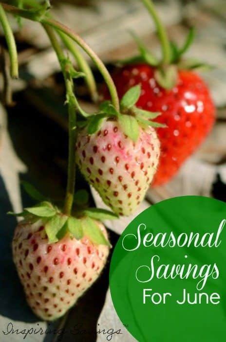 A great way to save money is to take advantage of seasonal savings. What is in Season for June can help you save all month long. June is a mixture of summer berries and stone fruit, with a few vegetables thrown in too. Find out all about June Seasonal Produce -- What's In Season Guide. #seasonalproduce #whatsinseason #eatseasonally