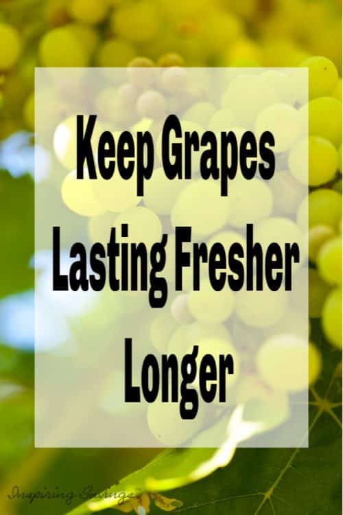 Green grapes with text overlay - Keep Grapes Lasting Fresher Longer