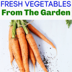 How to Freeze Fresh Vegetables e1564495729870