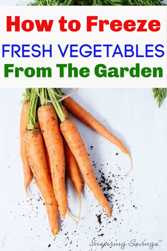 Fresh Carrots from the garden on white background - Freeze Fresh Vegetables