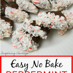 Easy No Bake Peppermint Cookies e1571236299160