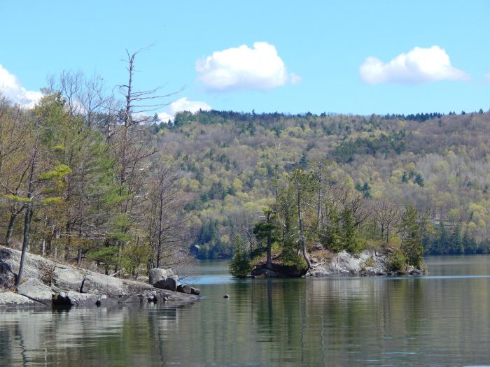 Roger's Rock Campground in new york state