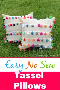 Diy No Sew Outdoor Tassel Pillows 6 Step Project