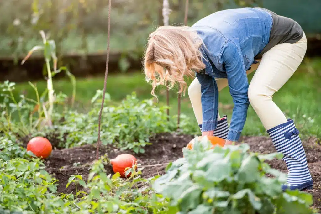 grown your own garden e1577824146348