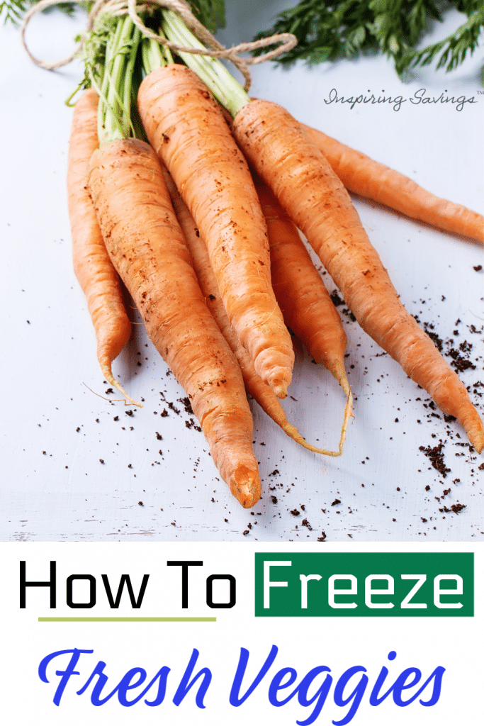 How to Freeze Fresh Vegetables - Preserving Your Harvest