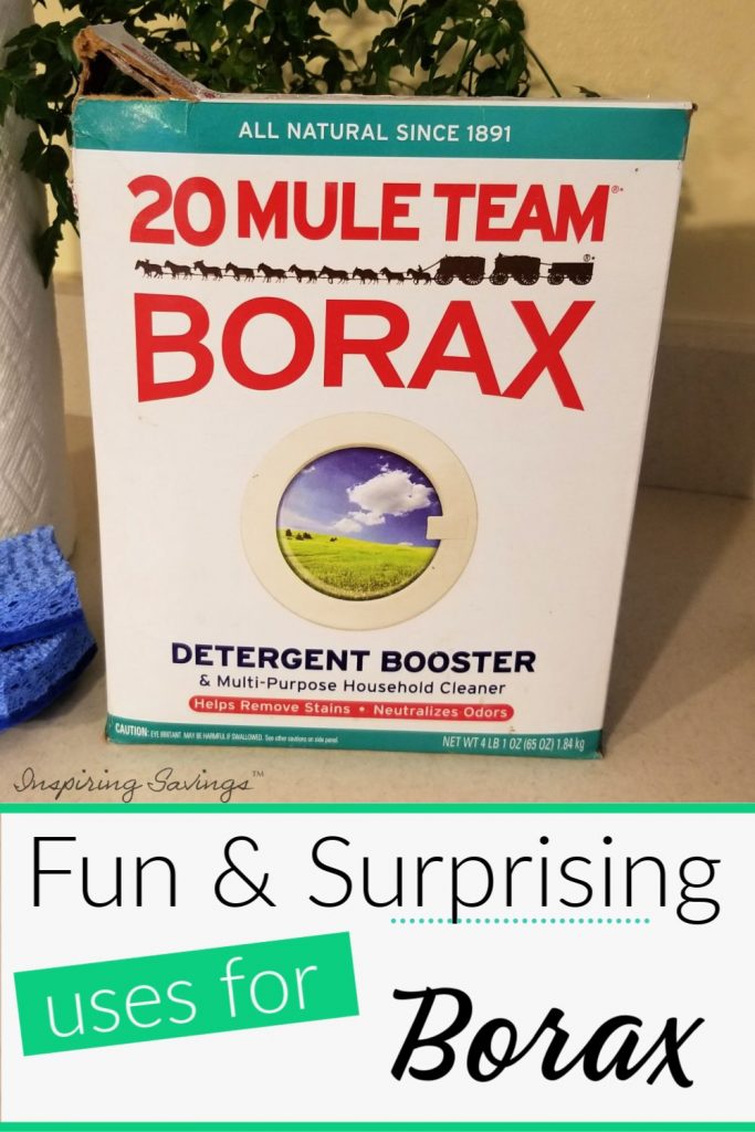 Fun & Surprising Uses for Borax