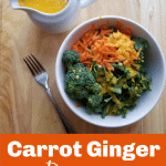 Carrot Ginger Salad Dressing vegan Dairy free e1568734028403
