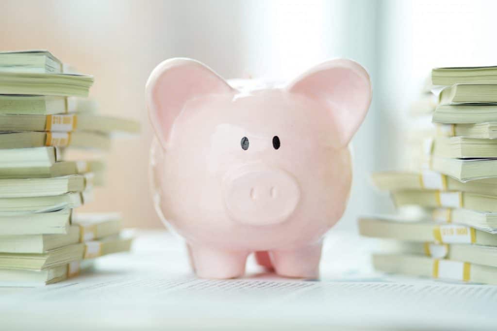 Pink Piggy Bank with money - Smart Ideas to help take control of your money