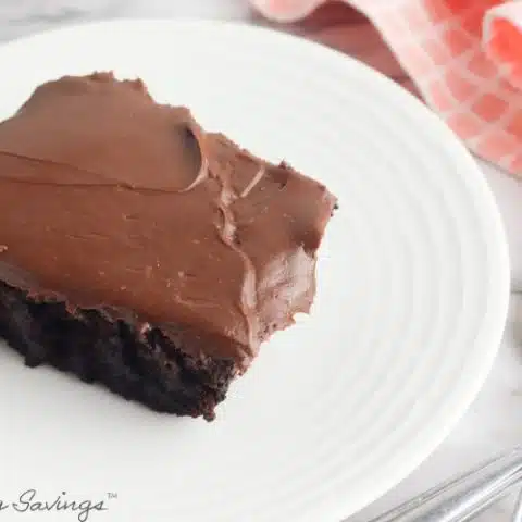 Chocolate Depression Cake Recipe - No Eggs, Milk or Butter (Gluten Free)