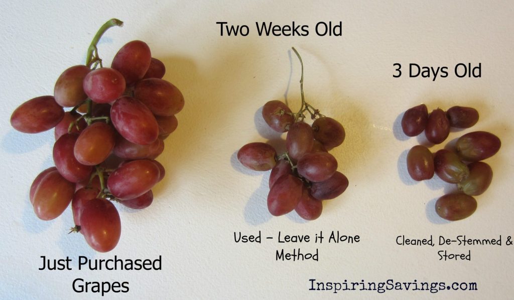 Fresh Grapes at various stages of days old