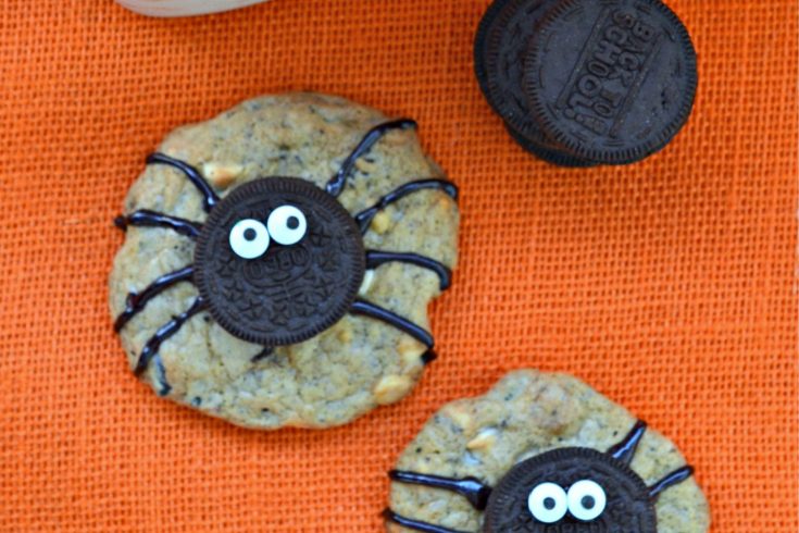 Spider Cookies