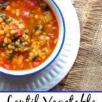 Lentil Vegetable Soup 1