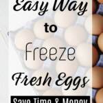 Freeze Fresh Eggs