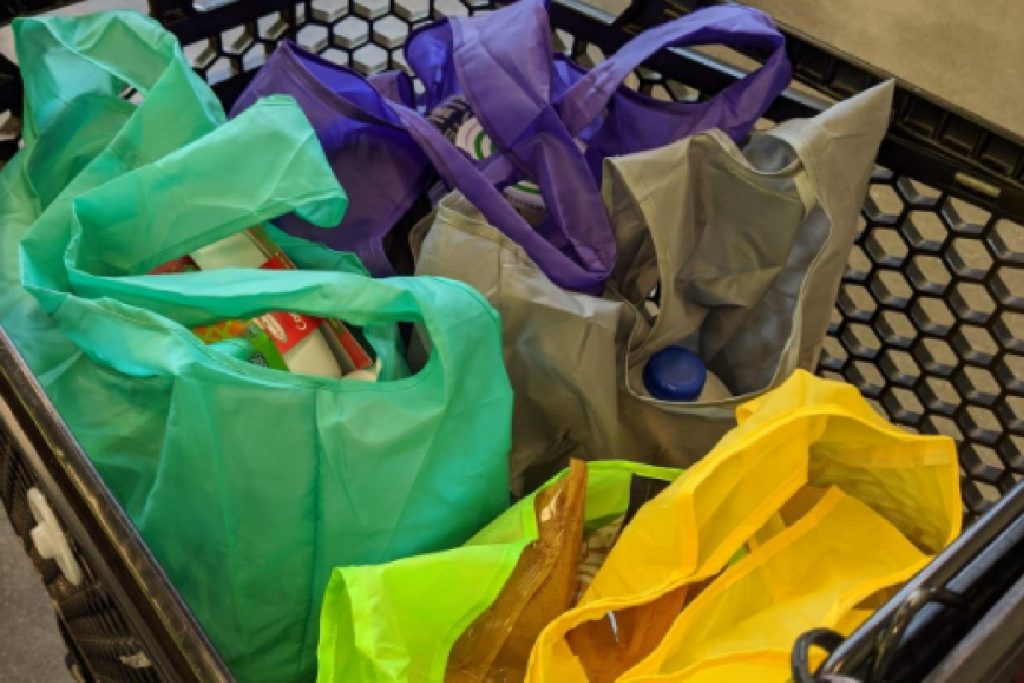 reusable shopping bags - gifts that save money