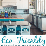 ecofriendly cleaning products that work
