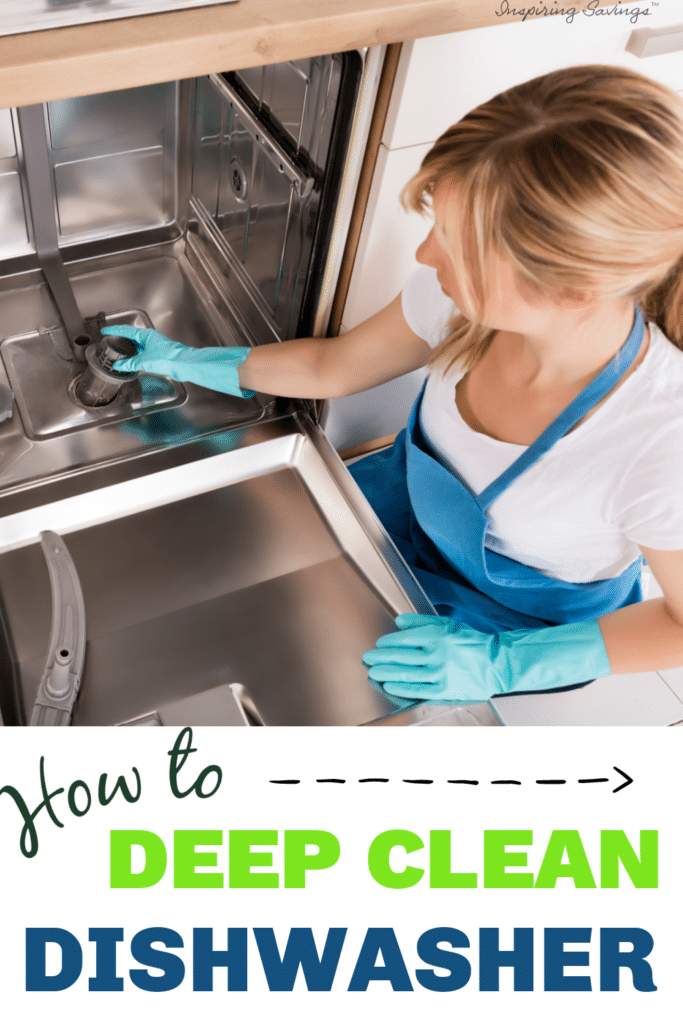 woman deep cleaning her dishwasher