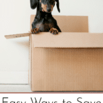 Easy Ways to Save Money on your move