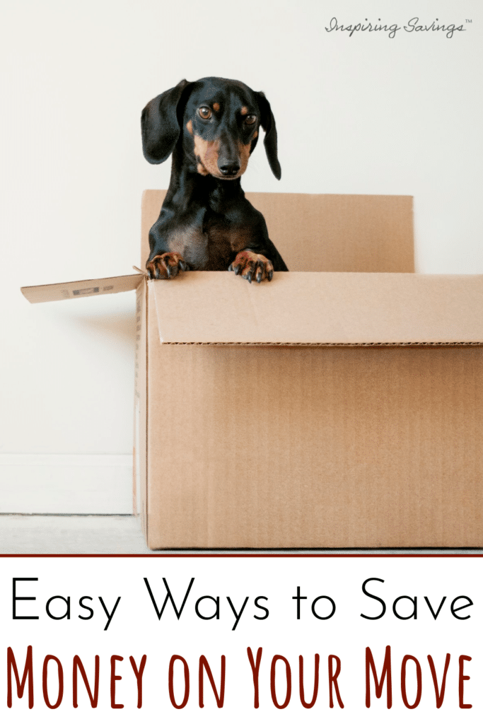 dog in packing box - Easy Ways to save money on your move