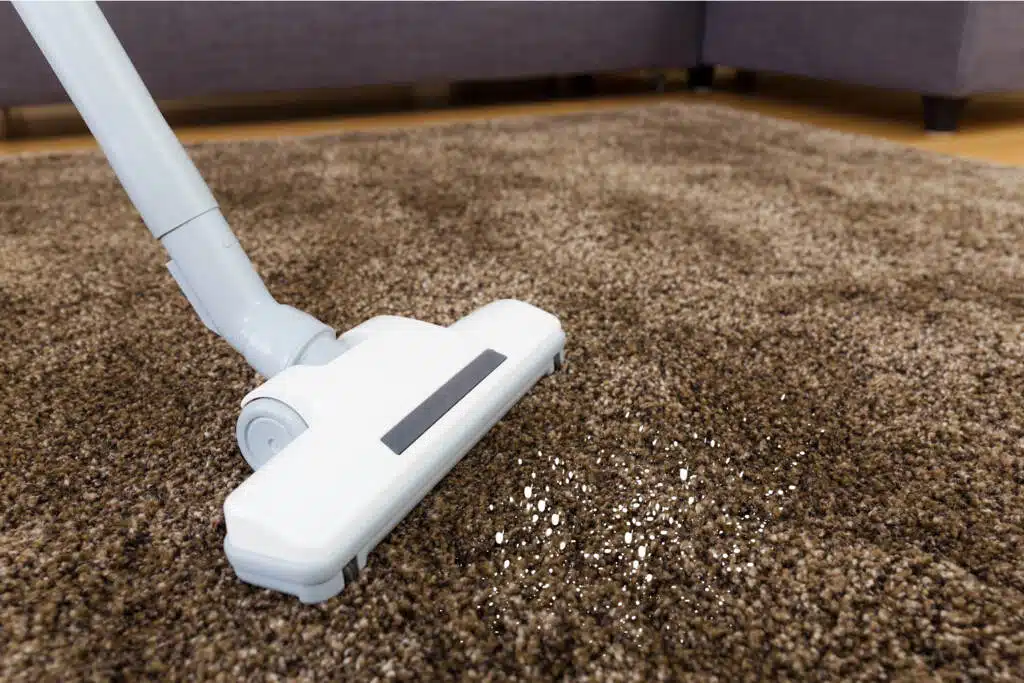 homemade carpet powder 1