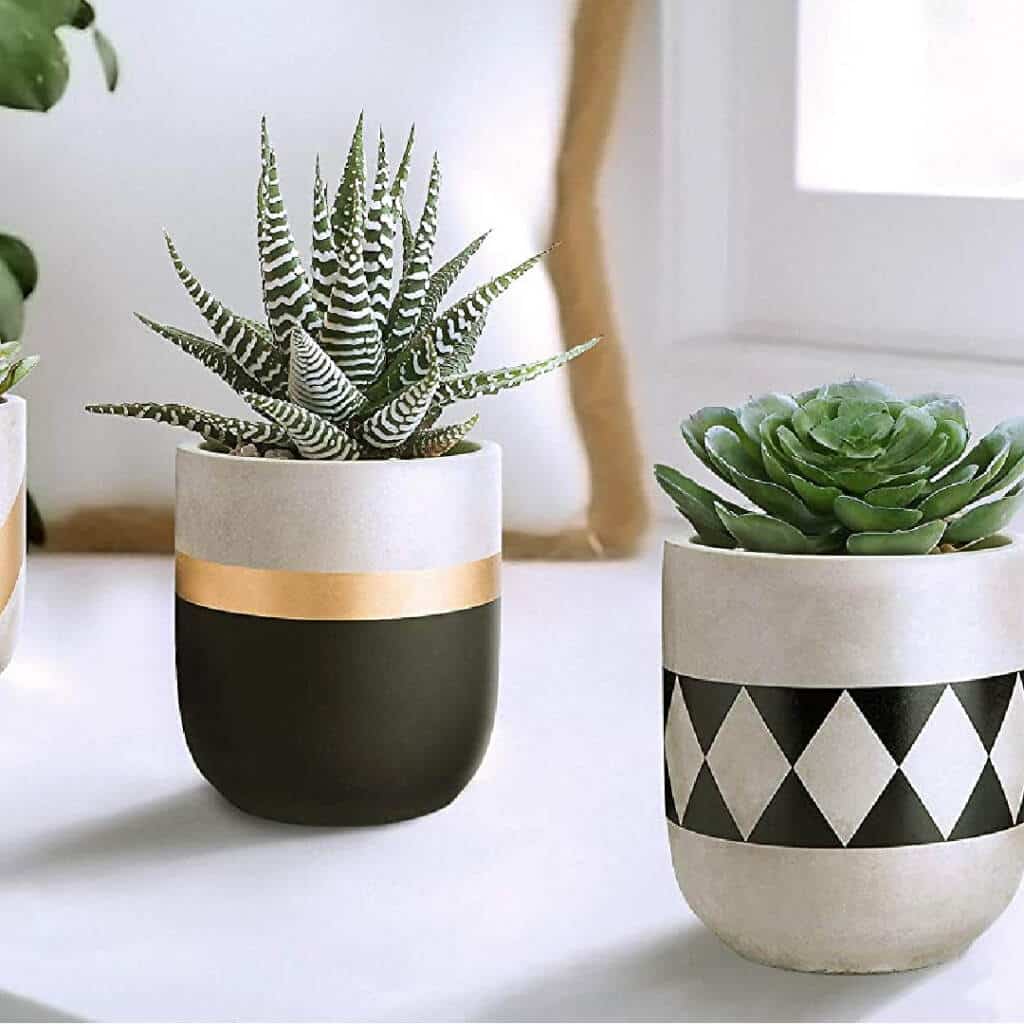 Concrete Planters set of 3