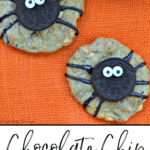 Chocolate chip Spider Cookies