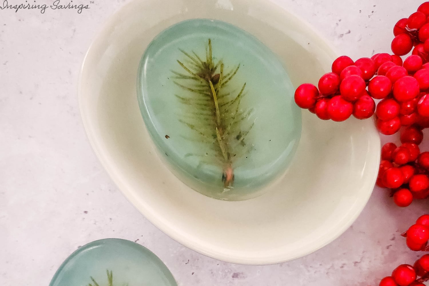 Holiday Pine Scented Soap
