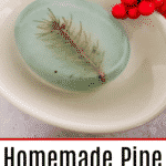 Homemade Natural Pine Scented Tree soaps 1