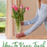 How to keep fresh Flowers lasting longer