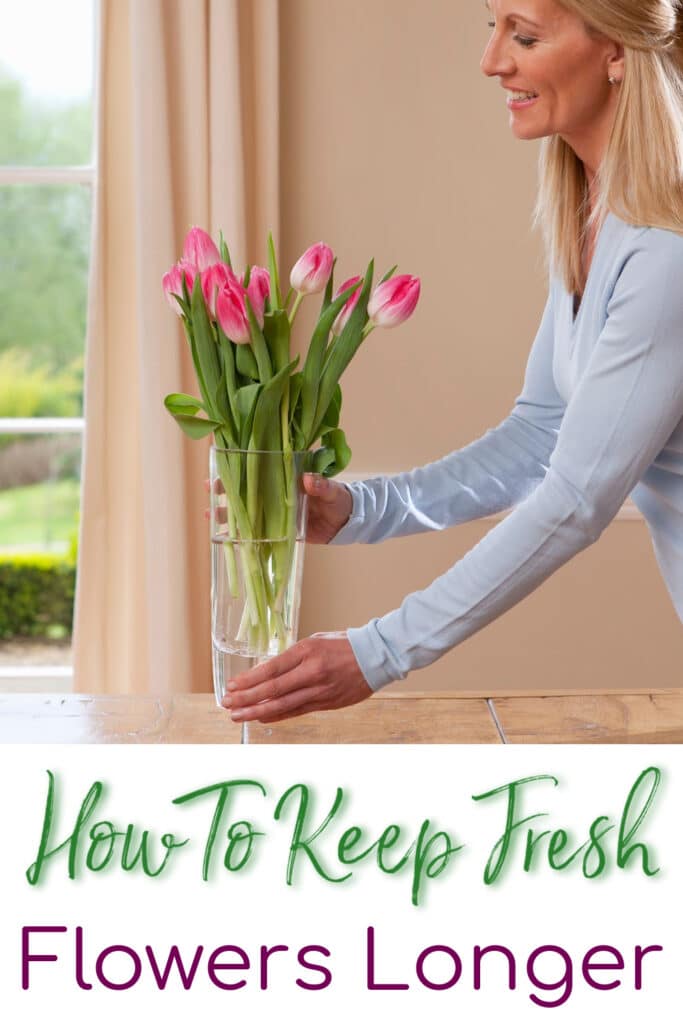 How to keep fresh Flowers lasting longer