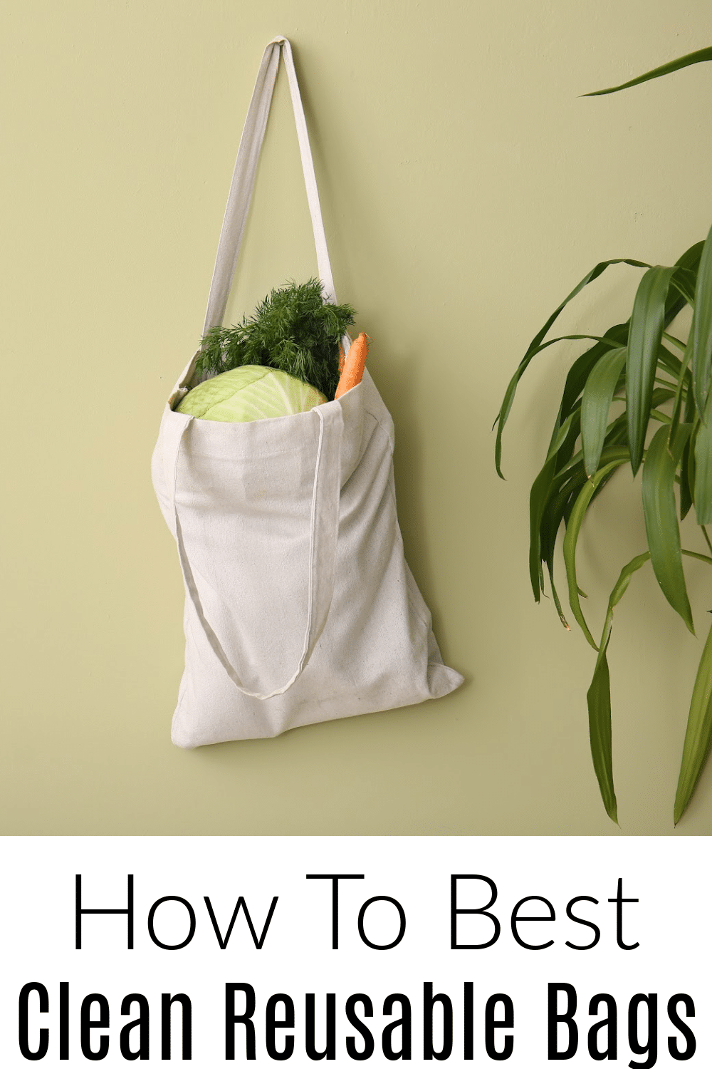 How to Clean Your Germy Reusable Shopping Bags