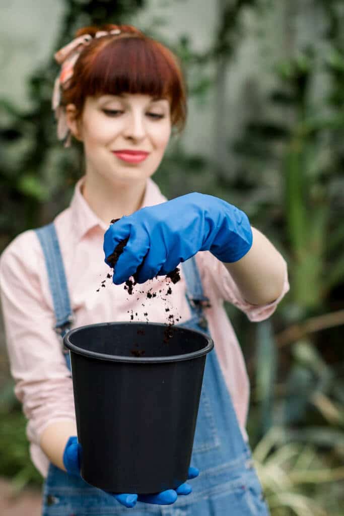 Woman holding potted plant