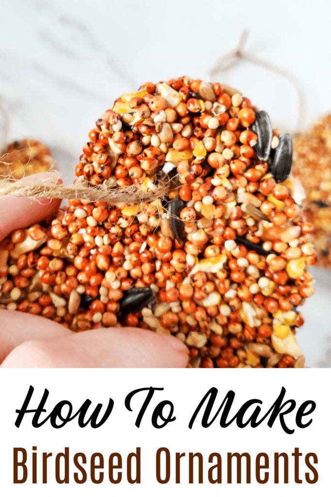 How to make birdseed ornaments at home - pictured birdseed ornament in hand