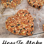 How to make birdseed ornaments at home