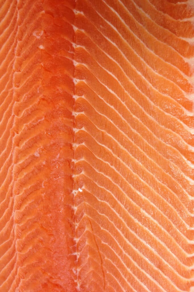 salmon pin bones in filet