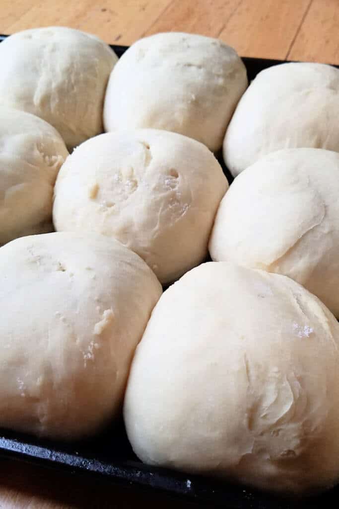 dough balls proofed on baking sheet ready for the oven