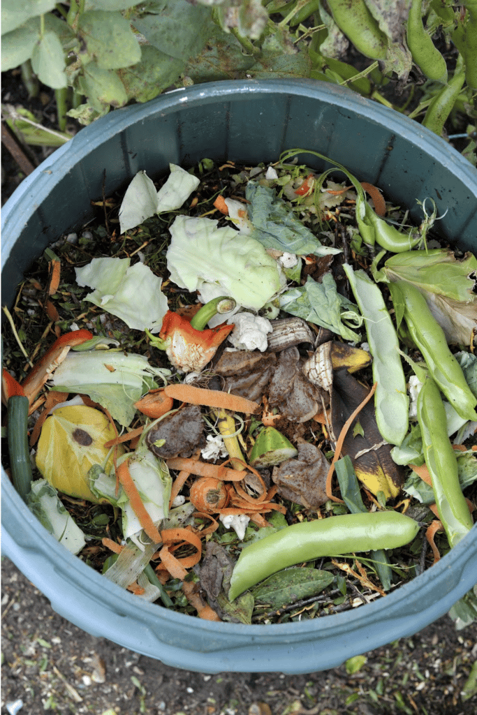 Creative ways to stop food waste - pictured composed bin full of fresh green vegetables