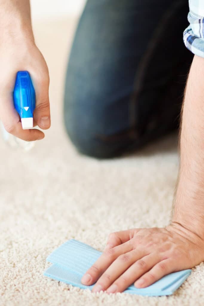 spray bottle in hand cleaning carpet
