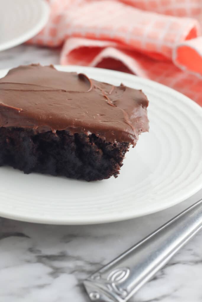 cut piece of chocolate cake on white plate