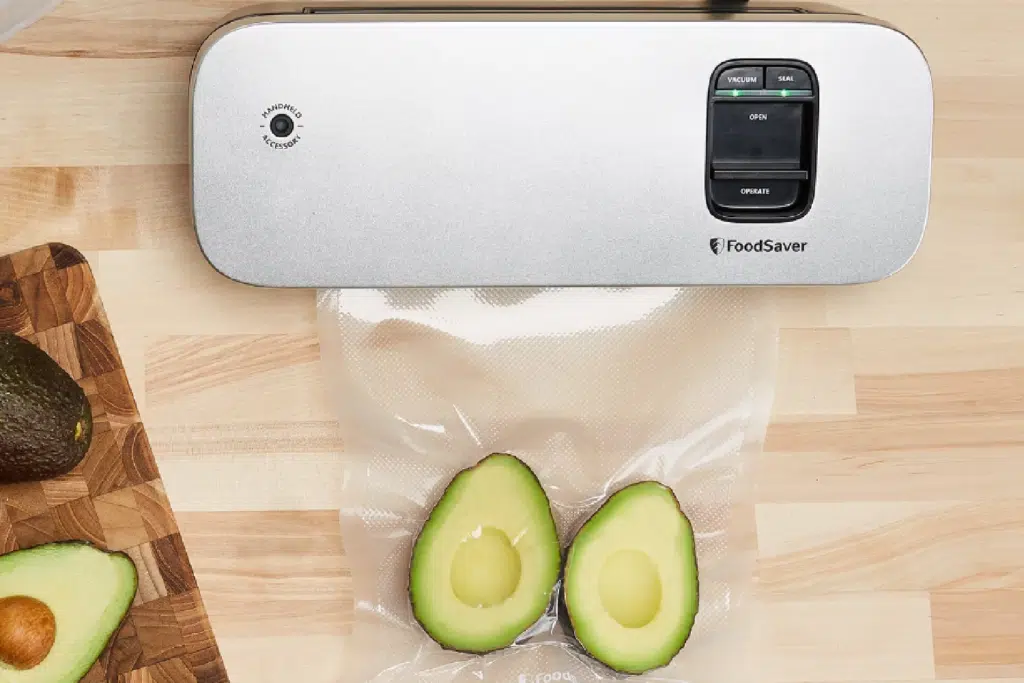 Foodsaver sealer