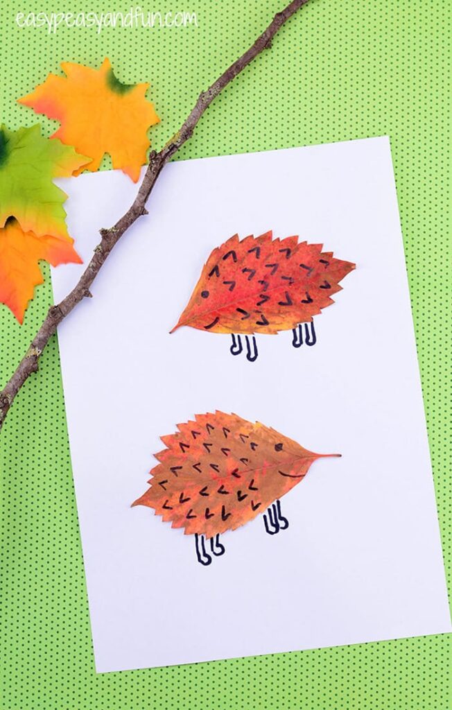 Leaf Hedgehogs