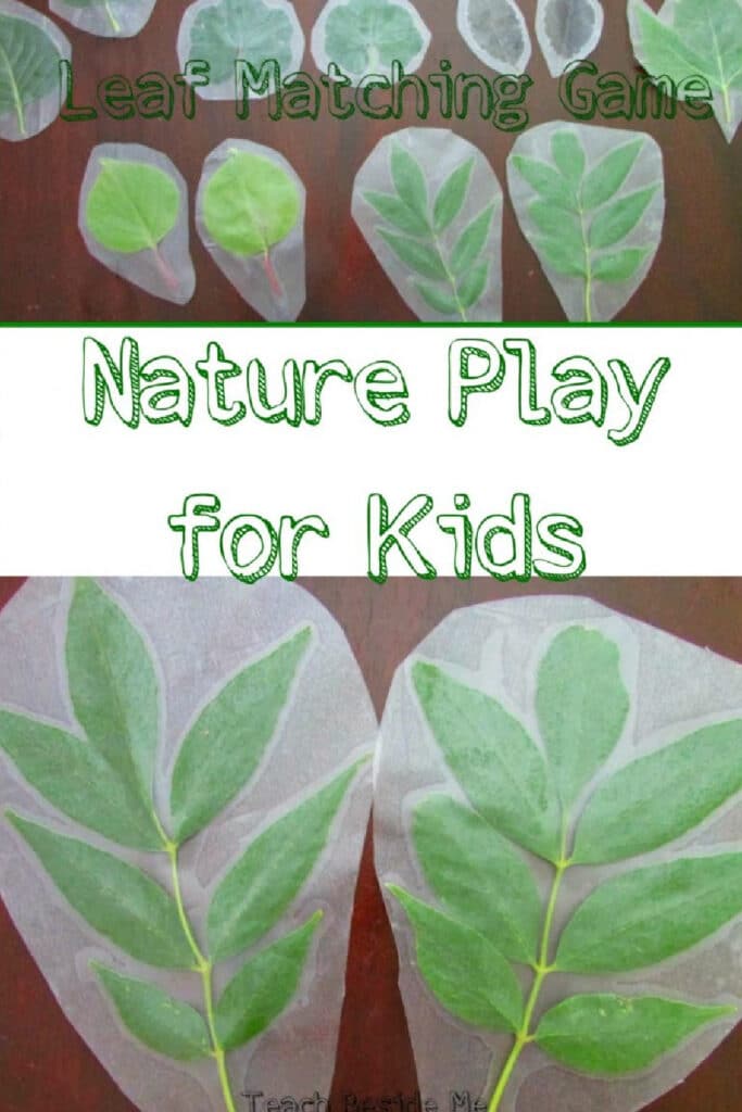 Leaf matching creative craft with leaves