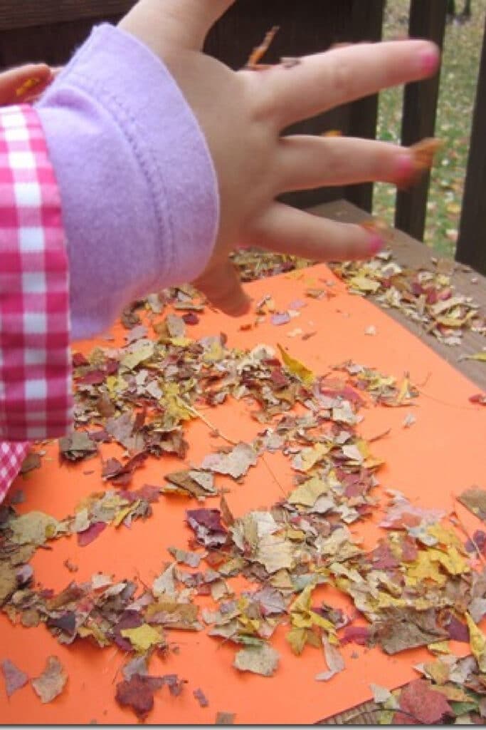 adding crushed leaves