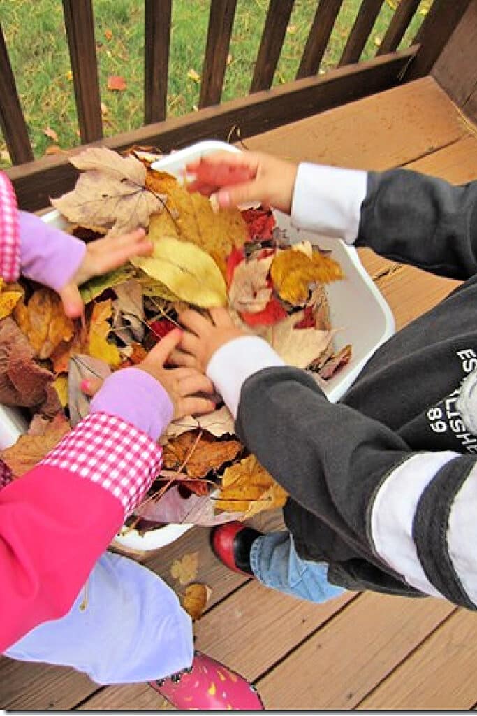 kids crushing leaves
