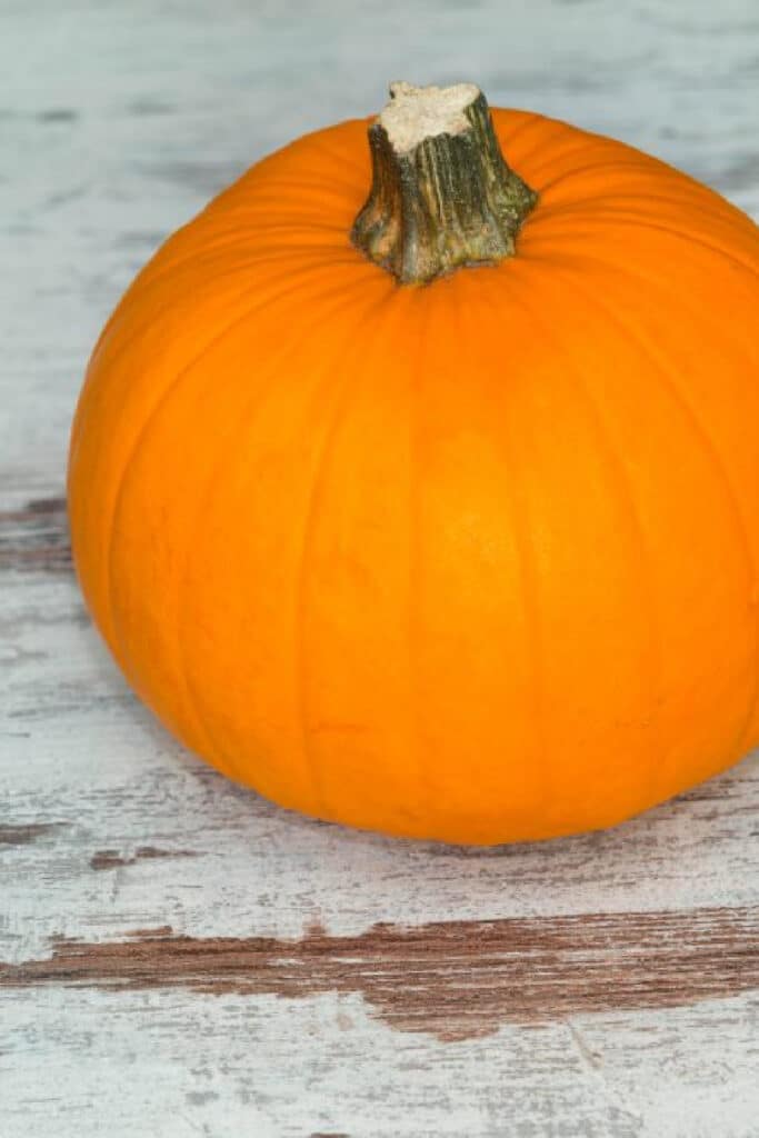 pumpkin on white wood background