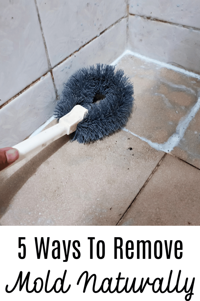 5 Best Natural Mold Killers - pictured dirty shower with mold growing in grout