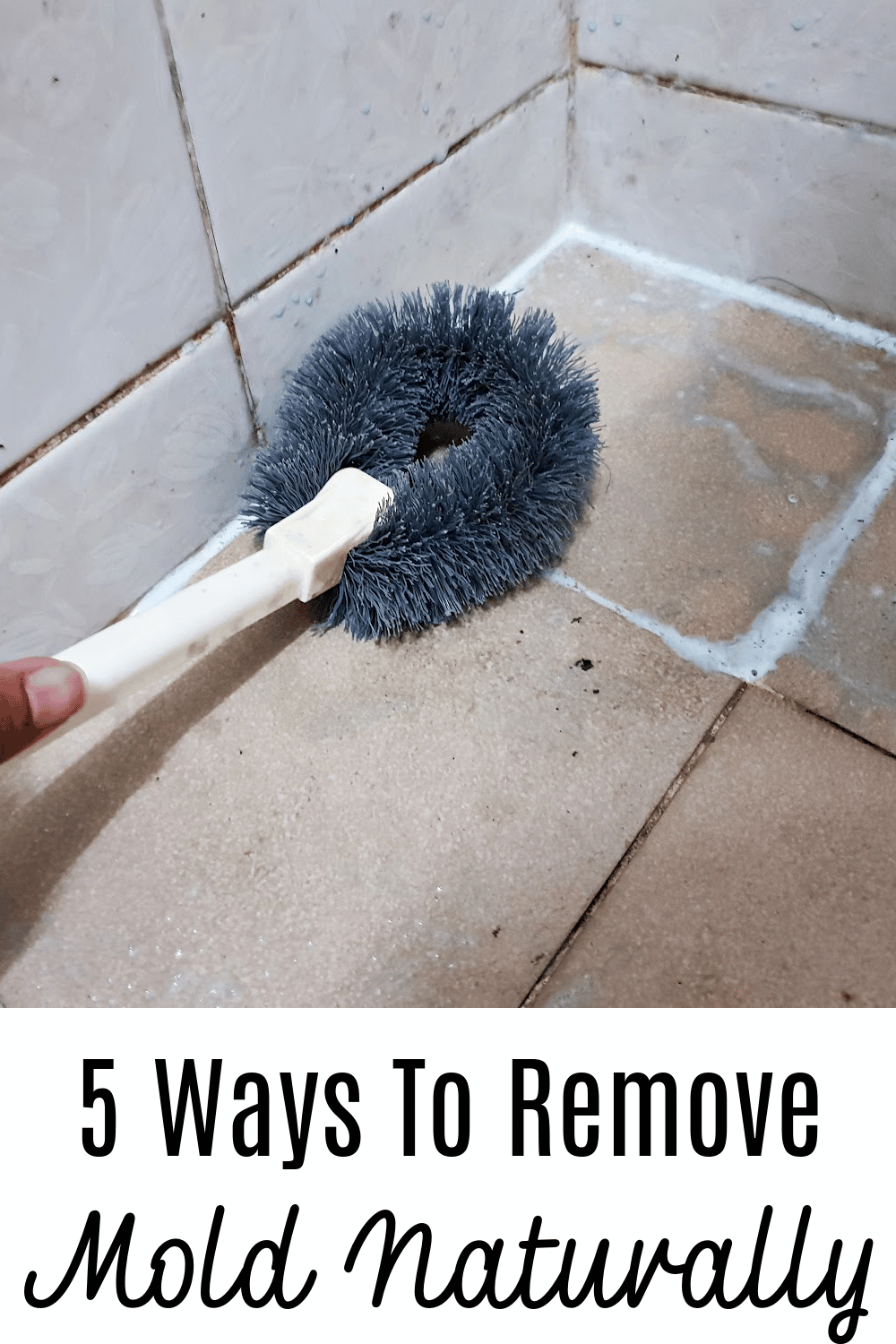 The 5 Best Mold Removers of 2024