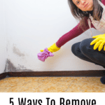 Best Natural Mold Killers