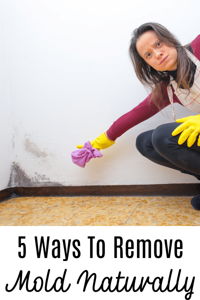 Best Natural Mold Killers - pictured woman wearing rubber glovers, ready to clean wall with mold
