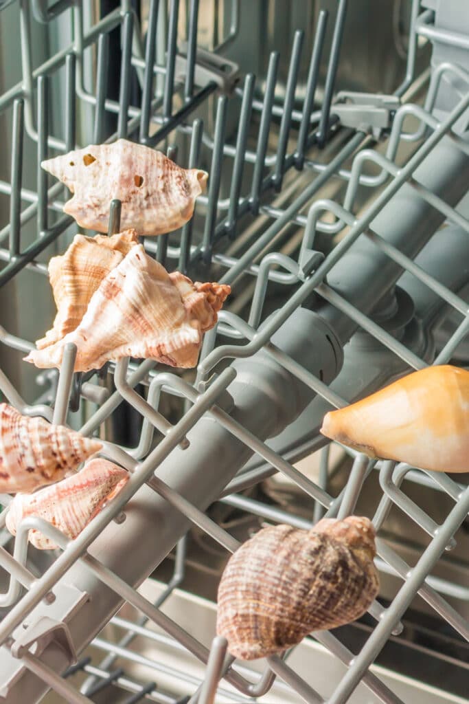 cleaning shells in dishwasher