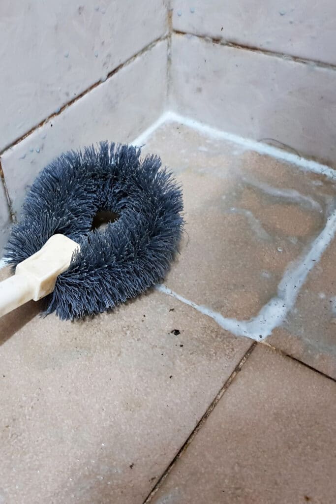 removing mold from your home. pictured shower tile are with mold in grout.